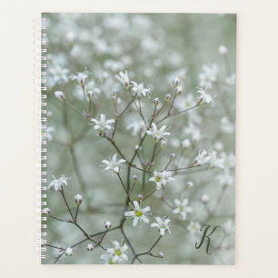 Agenda Flor de Respiração de Bebê Foto da Natureza Com Mo