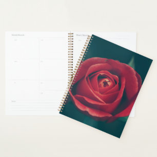 Agenda Flor de Rosa vermelha bonita