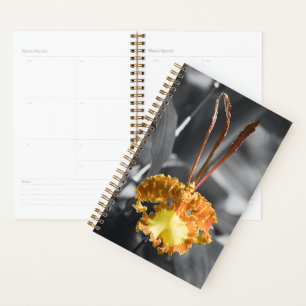 Agenda Flor Orquídea Amarela