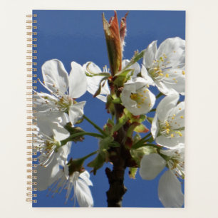 Agenda Flor Primavera branco