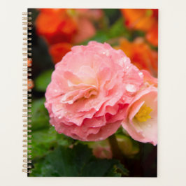 Agenda Flor rosa delicada após a chuva