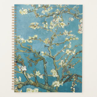 Agenda Floração da Amendoeira