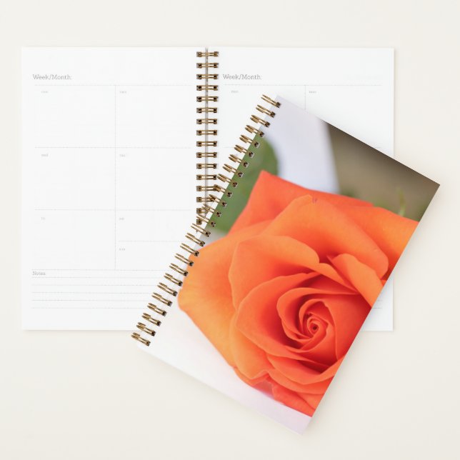 Agenda Floral de Flor Rosa de Laranja (Exibição)