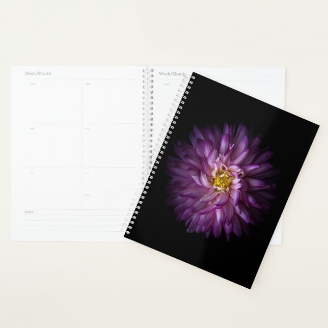 Agenda Flores 20 (Exibição)