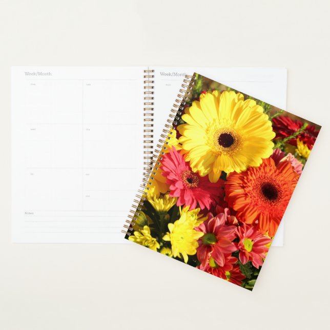 Agenda Flores Amarelas de Gerbera Chrysanthemum (Exibição)