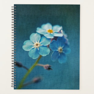 Agenda Flores Azuis Esquecem-me-Nots Macro Fotografia
