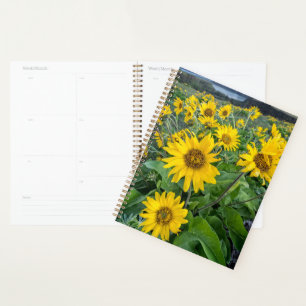 Agenda Flores Balsomroot Columbia River, Oregon