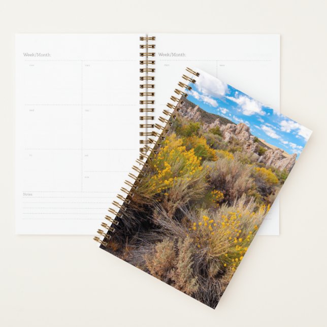 Agenda Flores | Blooming Sagebrush California (Exibição)