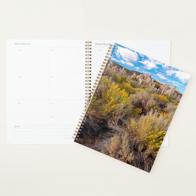 Agenda Flores | Blooming Sagebrush California (Exibição)