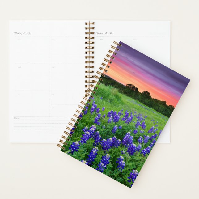Agenda Flores | Bluetooth no Texas Sunset (Exibição)