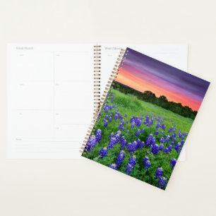 Agenda Flores Bluetooth no Texas Sunset