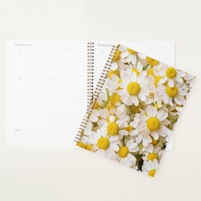 Agenda Flores | Bunch of Chamomiles (Exibição)