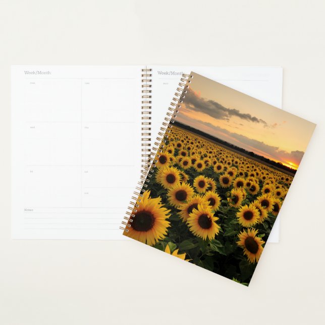Agenda Flores | Campo de girassol (Exibição)