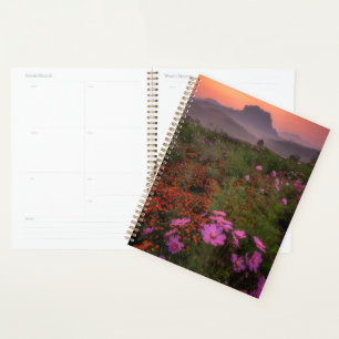 Agenda Flores Chiang Dao, Chiang Mai, Tailândia