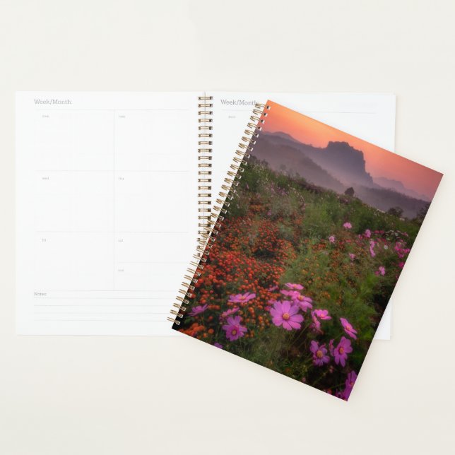 Agenda Flores | Chiang Dao, Chiang Mai, Tailândia (Exibição)