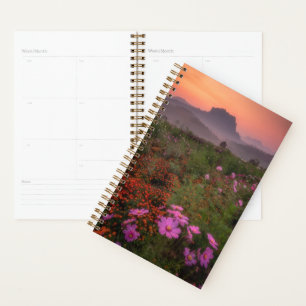 Agenda Flores Chiang Dao, Chiang Mai, Tailândia