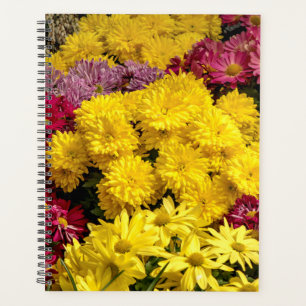 Agenda Flores da primavera de 2022