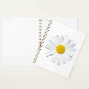 Agenda Flores Daisy Solteiro