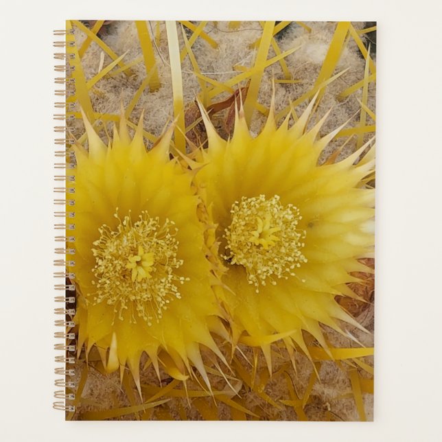 Agenda Flores De Cactus Vibrantes No Deserto (Frente)