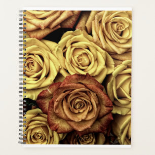 Agenda Flores De Mola: Uma Pintura Artística Natural Que