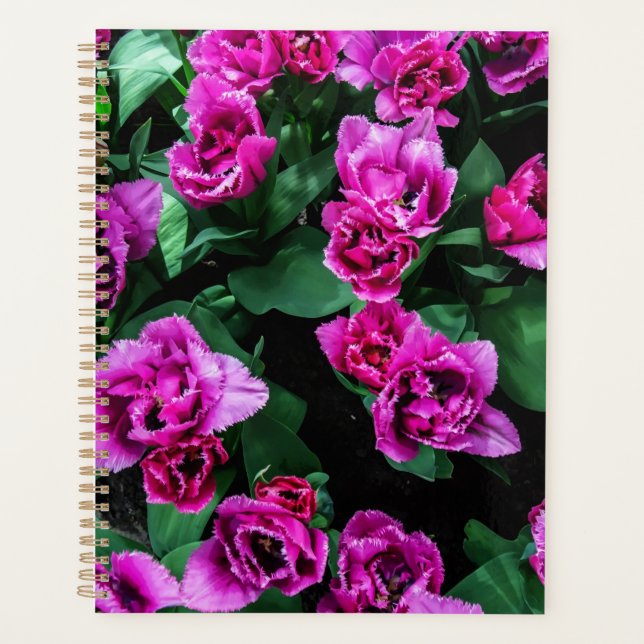 Agenda Flores de tulipas rosa (Frente)