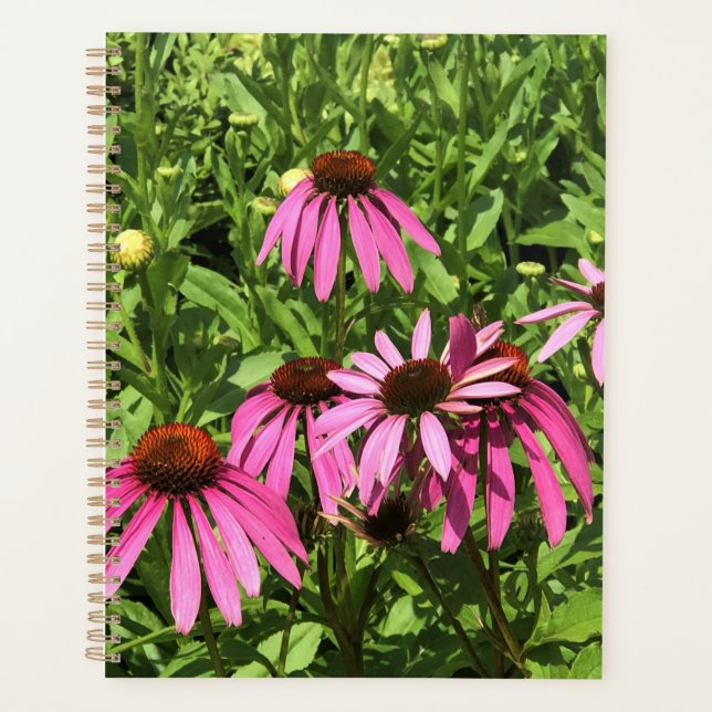 Agenda Flores em Chateau Morrisette Winery, Floyd, VA (Frente)