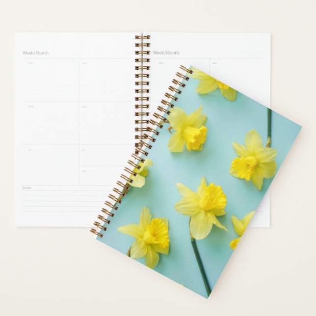 Agenda Flores | Espadins amarelos (Exibição)