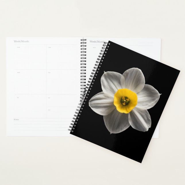 Agenda Flores | Flor Branca De Daffodilo (Exibição)