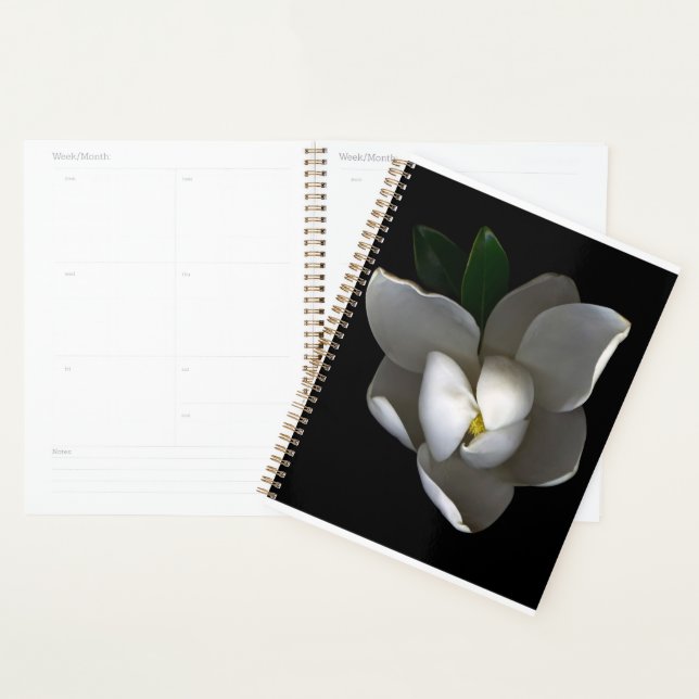Agenda Flores | Flor Solteiro Magnolia Branca (Exibição)