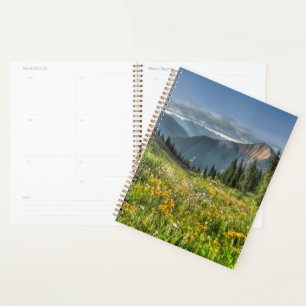 Agenda Flores Flores selvagens Silverton Colorado