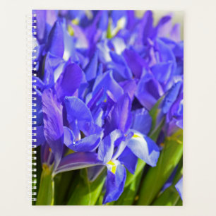 Agenda Flores íris