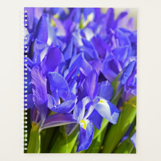 Agenda Flores íris (Frente)