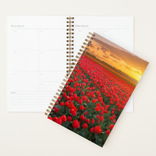 Agenda Flores Jardim Botânico Holanda