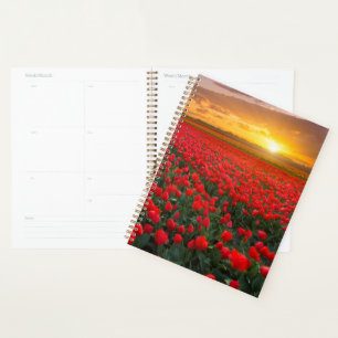 Agenda Flores Jardim Botânico Holanda