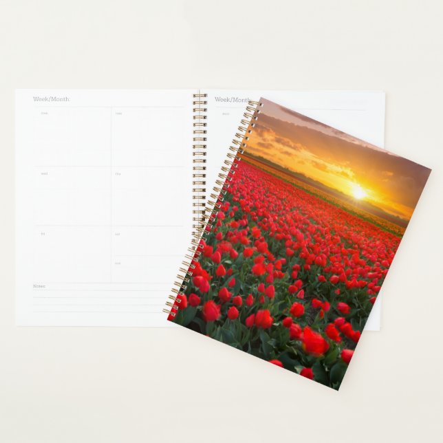 Agenda Flores | Jardim Botânico Holanda (Exibição)