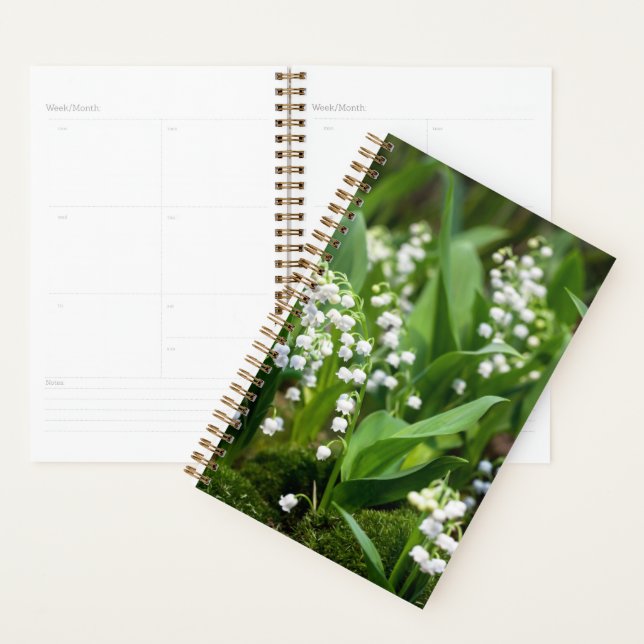Agenda Flores | Lily da Suecia do Vale (Exibição)