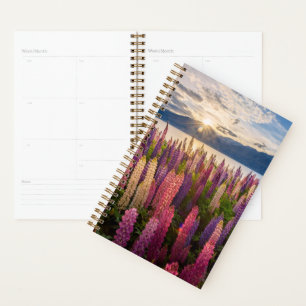 Agenda Flores Lupinas Nova Zelândia
