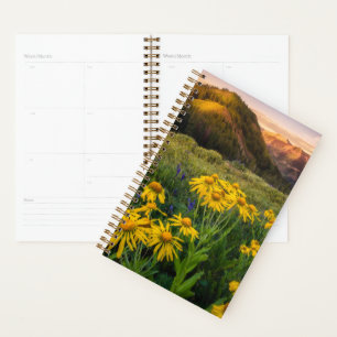 Agenda Flores Mountain Meadow Brested Colorado