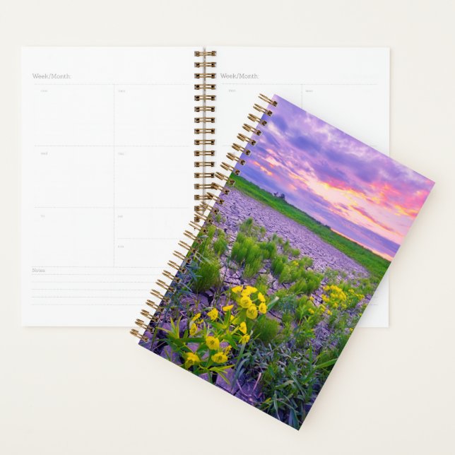Agenda Flores | North Dakota Red River Valley (Exibição)