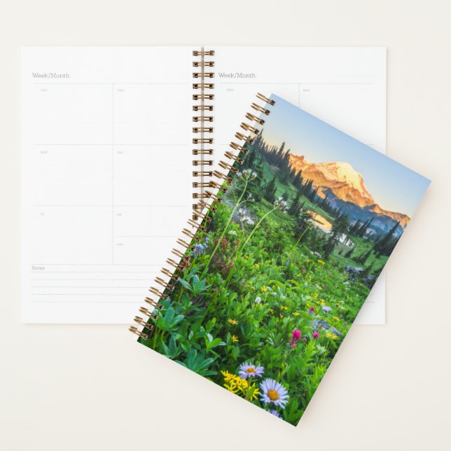 Agenda Flores | Parque Nacional Monte Rainier (Exibição)
