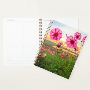 Agenda Flores Província de Chiang Rai, Tailândia