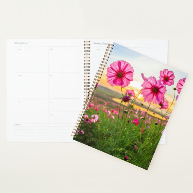 Agenda Flores |Província de Chiang Rai, Tailândia (Exibição)