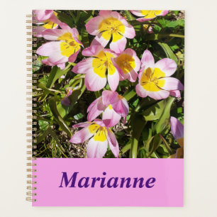 Agenda Flores Rosa e Amarelo