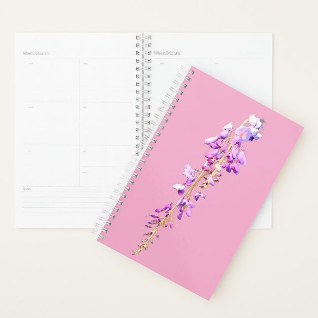 Agenda Flores roxas (Exibição)