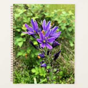 Agenda Flores selvagens no Caminho, Oregon