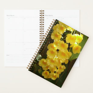 Agenda Flores Tropicais das Orquídeas Amarelas de Pé