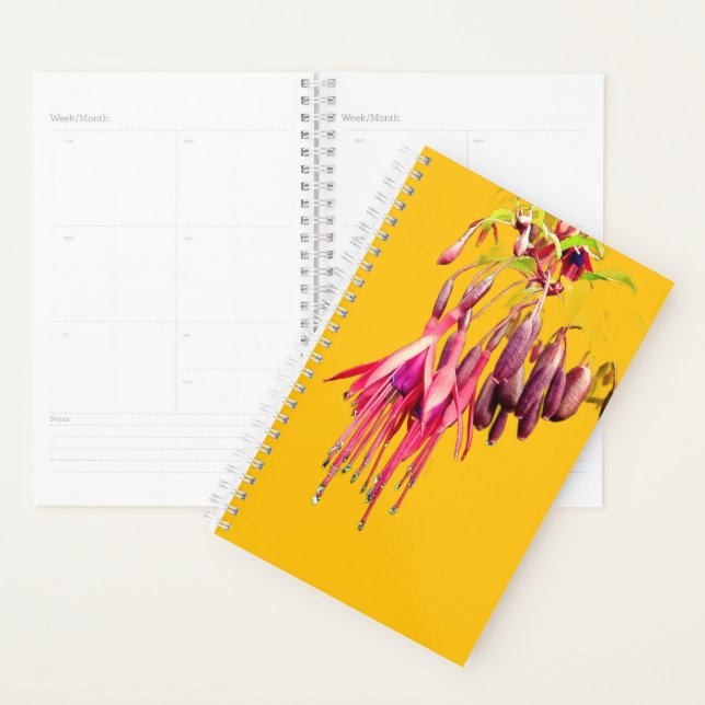 Agenda Flores vermelhas e roxas (Exibição)