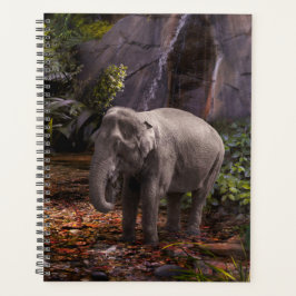 AGENDA FLORESTA DE CHUVA ELEFANTE