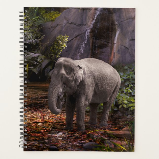 AGENDA FLORESTA DE CHUVA ELEFANTE (Frente)