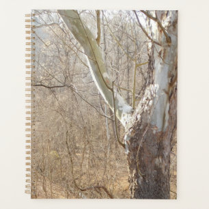 Agenda floresta de inverno